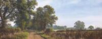 Peter Robinson (20thC). Country lane in landscape view