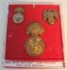 Various Army cap badges - 5