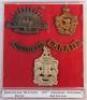 Various Army cap badges - 5