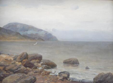 J Famia. Coastal scene with seagulls