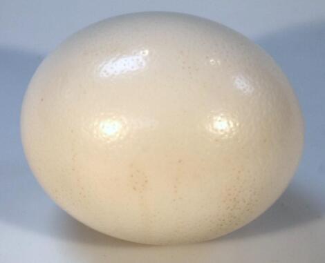 A 20thC hollowed out ostrich egg