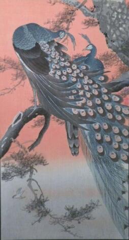 20thC Chinese School. Peacock on branch