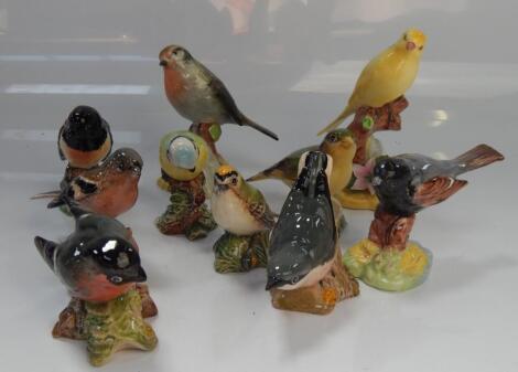 Ornithological ceramics