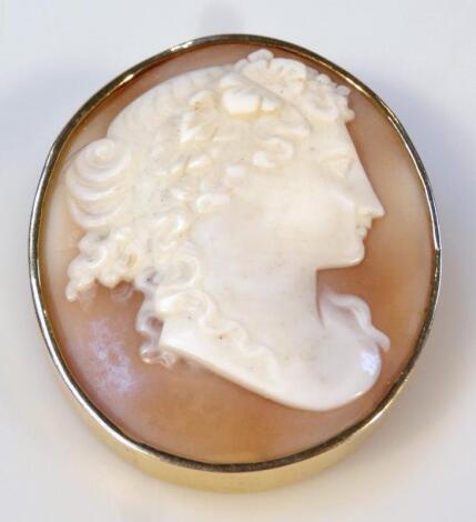 An oval shell cameo