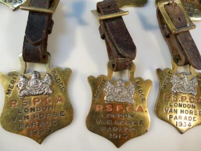 Various early 20thC and later RSPCA merit badges - 2