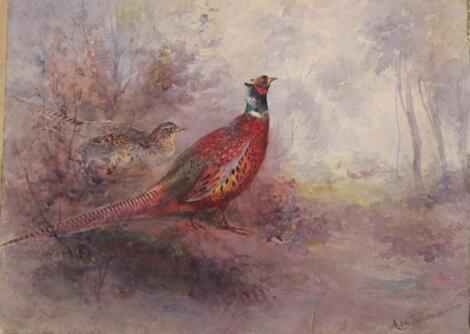 After Archibald Thorburn. Phesants in a woodland and brace of snipe aside water