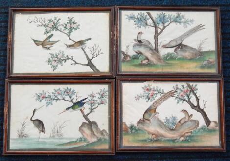 19thC Chinese School. Four studies of exotic birds