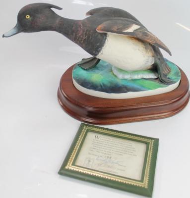 A Crown Staffordshire model of a tufted duck