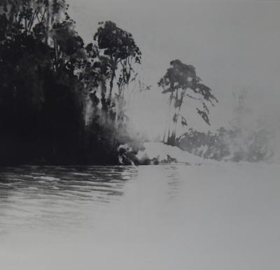 Norman Ackroyd (b.1938). A Wiltshire lake