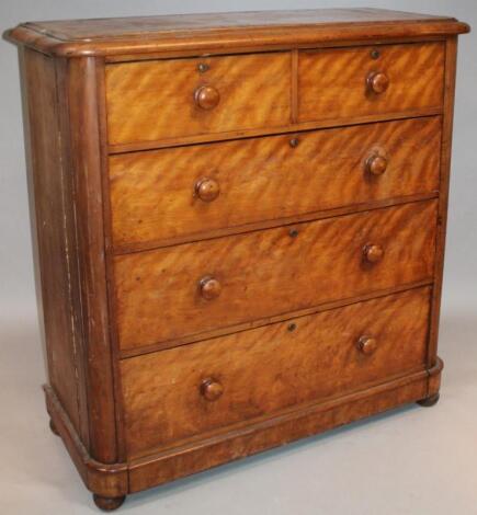 A Victorian satin birch chest