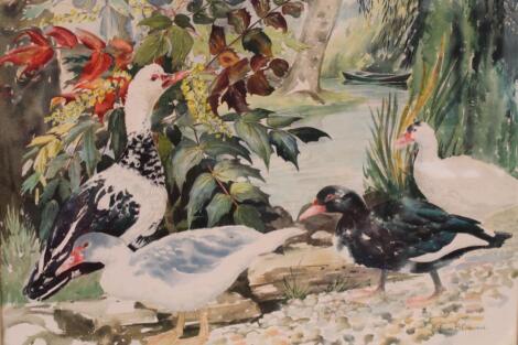 *Ivor B Coburn (b 1934). Ducks and waterfowl before boat on a stream