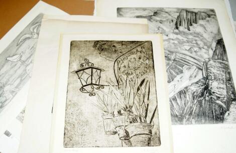 M Goodall. A small collection of etchings depicting rural scenes and landscapes and others