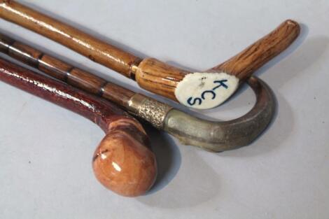 Three various walking sticks