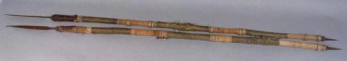 An early 20thC African tribal war spear