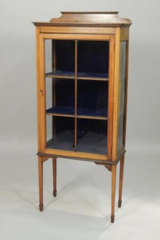 An Edwardian mahogany and boxwood strung display cabinet