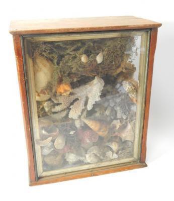 A Victorian painted display case