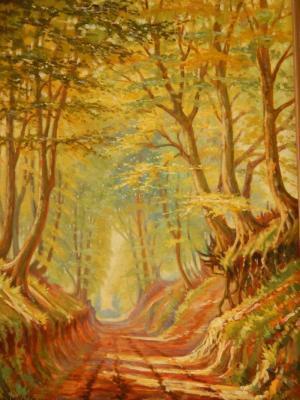 Van Helda (?) (19th/20thC). Woodland path