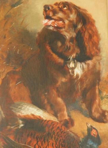 19thC British School. Spaniel with Cock Pheasant