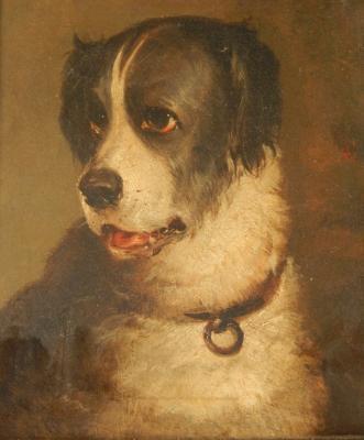 19th/20thC British School. Portrait of a dog