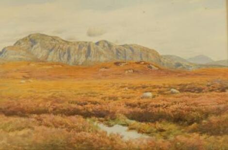 Richard Redfern (19th/20thC). The Clints of Dromore