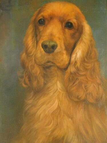 Henry S Quarrie (20thC). Golden cocker spaniel