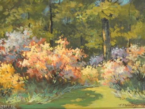 Fred Stubbings (19/20thC). Azaleas in the woodland Ofomenagh Iver Heath Bucks