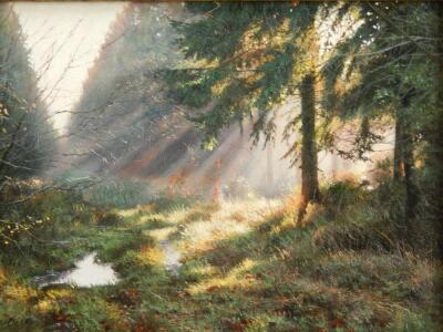 Peter Barker (b.1954). Sunbeams