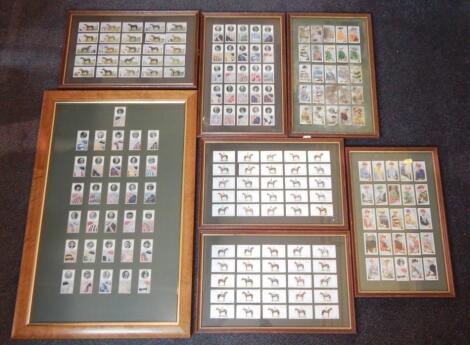 Various framed postcards