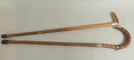 Two metal mounted walking sticks