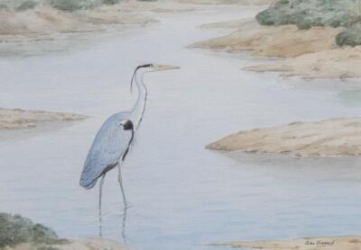 John Shepperd. Study of a heron wading in a lagoon