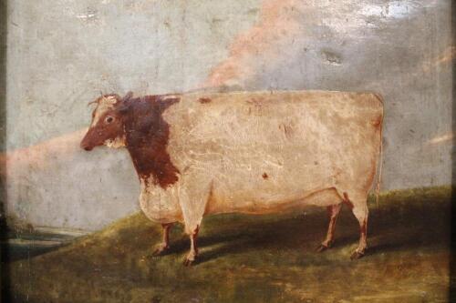 Early 19thC English Naive School. A short horned cow in a field