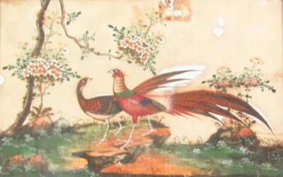 A 19thC Japanese School. Birds in a naturalistic environment - 5