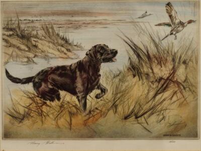 Henry Wilkinson (1921-2011). Hunting dogs stalking or collecting game birds - 3