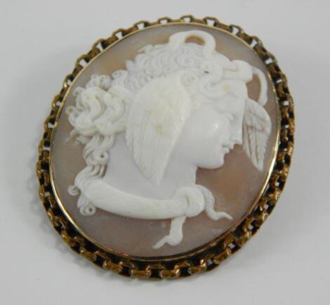 A shell cameo brooch bust portrait of Medusa