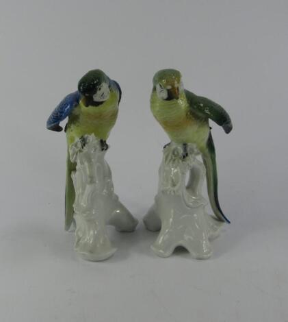 A pair of Continental porcelain figures of parakeets