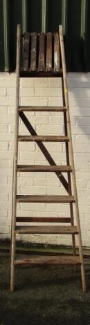 Two artist's or decorator's step ladders