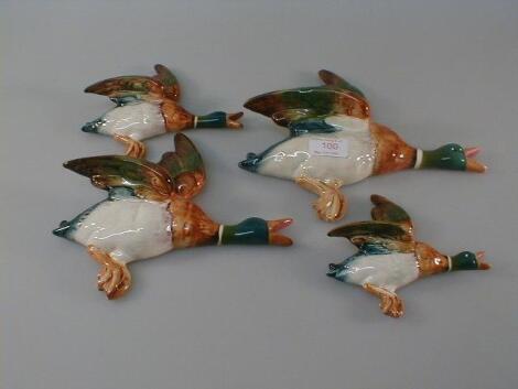 A set of four Beswick pottery flying ducks; in sizes 10" to 5 bd"