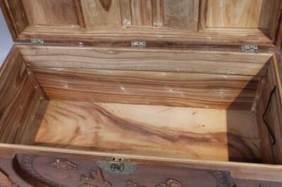 An early 20thC oriental design camphor wood chest - 2
