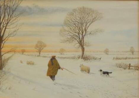 D Dunthorne (20thC). Shepherd and sheep dog