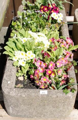 An oblong concrete sink planter