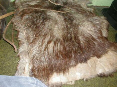 Two animal skins.