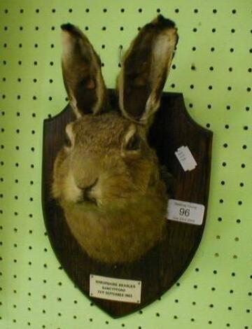 A shield mounted hare