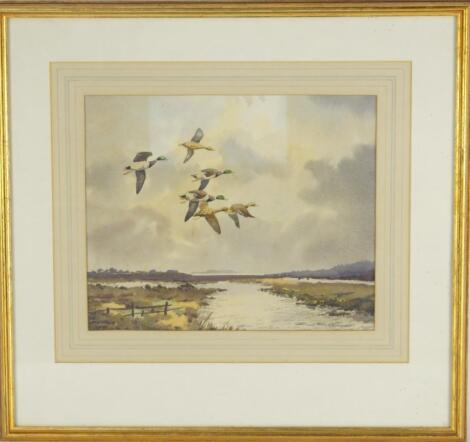 Cecil Thomas Hodgkinson (1895-1979). Flying mallards