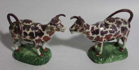 A pair of 19thC Staffordshire pink lustre cow creamers