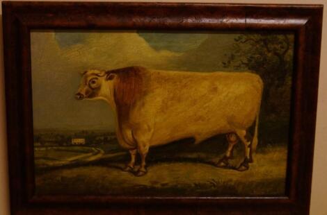 20thC British School. Study of a shorthorn bull in a stable