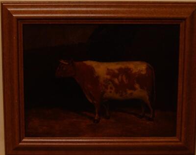 20thC British School. Study of a shorthorn bull in a stable - 2