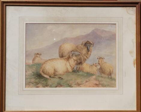 C. Mate (19th/20thC). Sheep on hillside