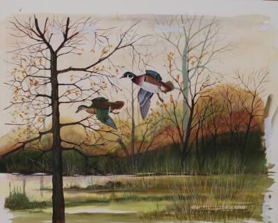 Victor P. Sharpe (b.1922). Wood ducks - early morning light