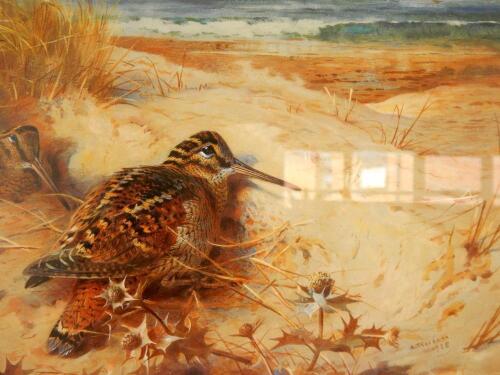 After Archibald Thorburn. Woodcock