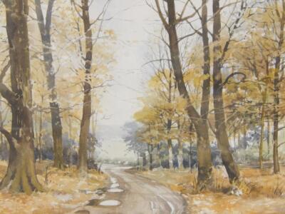 J Dennison. Autumn landscapes